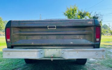 Ford-f-150-1976-green-3