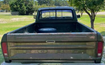 Ford-f-150-1976-green-4
