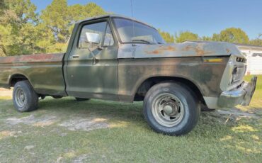 Ford-f-150-1976-green-5