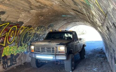 Ford-f-150-1985-brown-1