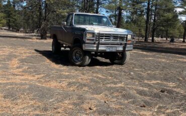 Ford-f-150-1985-brown-10