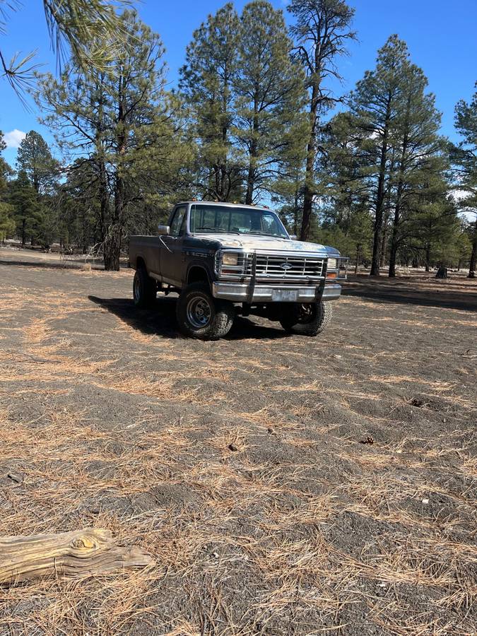 Ford-f-150-1985-brown-10