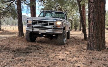 Ford-f-150-1985-brown-11