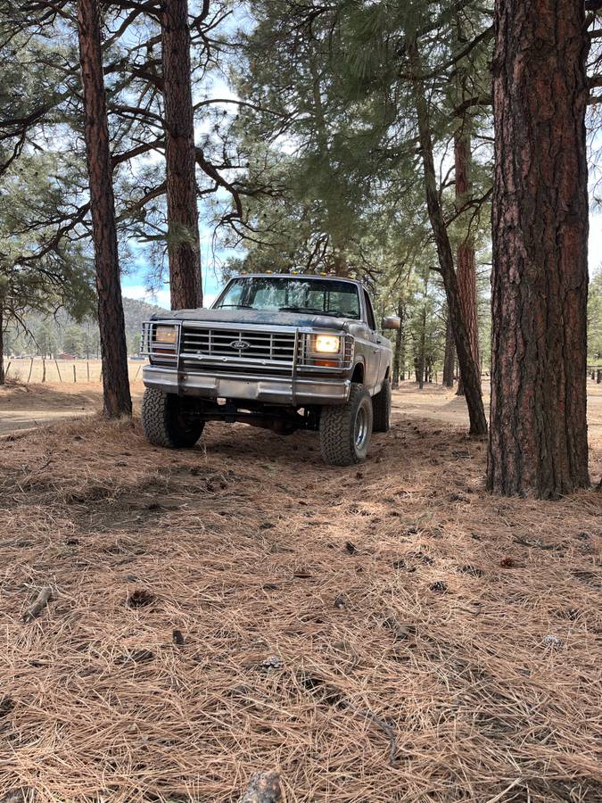 Ford-f-150-1985-brown-11