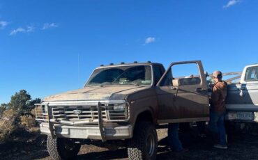 Ford-f-150-1985-brown-5