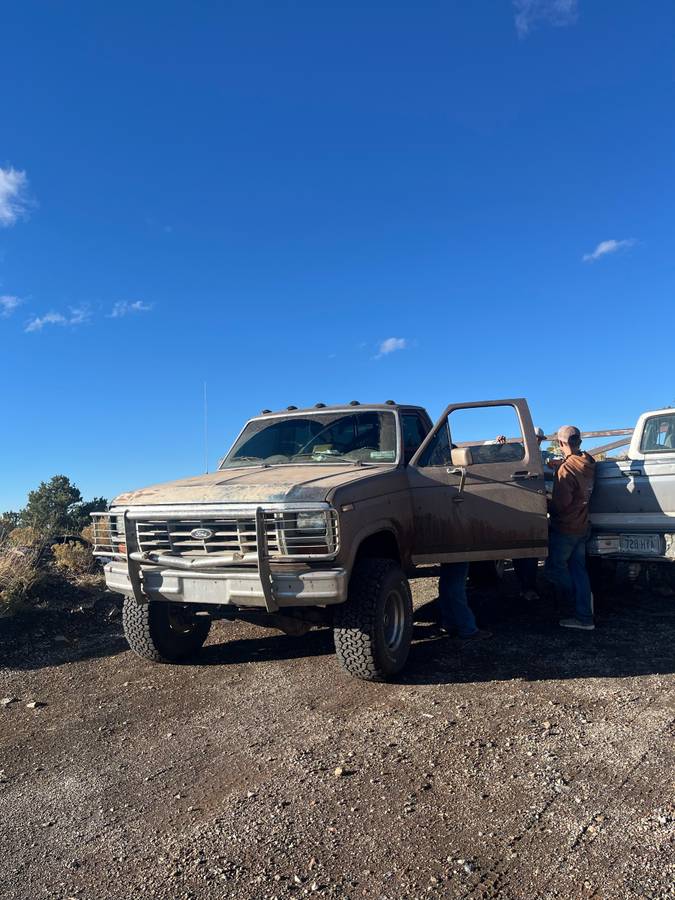 Ford-f-150-1985-brown-5