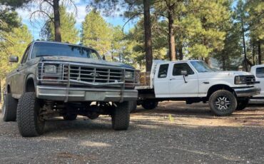 Ford-f-150-1985-brown-6