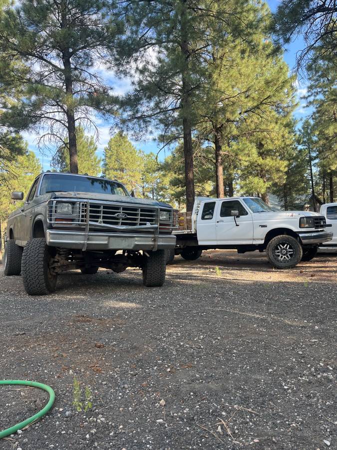 Ford-f-150-1985-brown-6