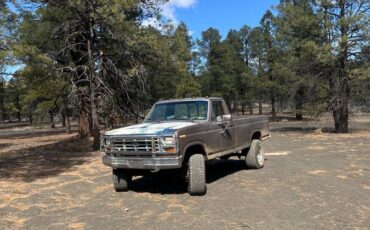 Ford-f-150-1985-brown-9