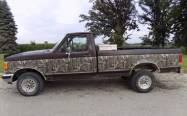 Ford-f-150-1989-brown-1