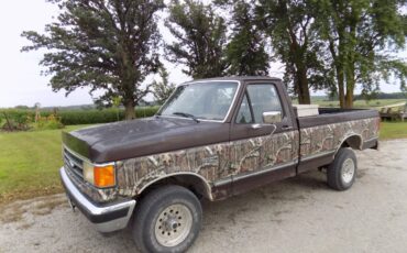 Ford-f-150-1989-brown