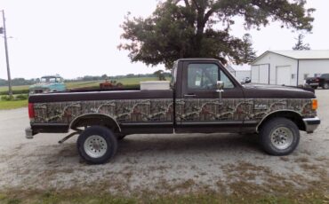 Ford-f-150-1989-brown-2