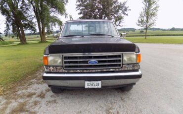 Ford-f-150-1989-brown-3