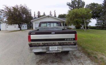 Ford-f-150-1989-brown-4
