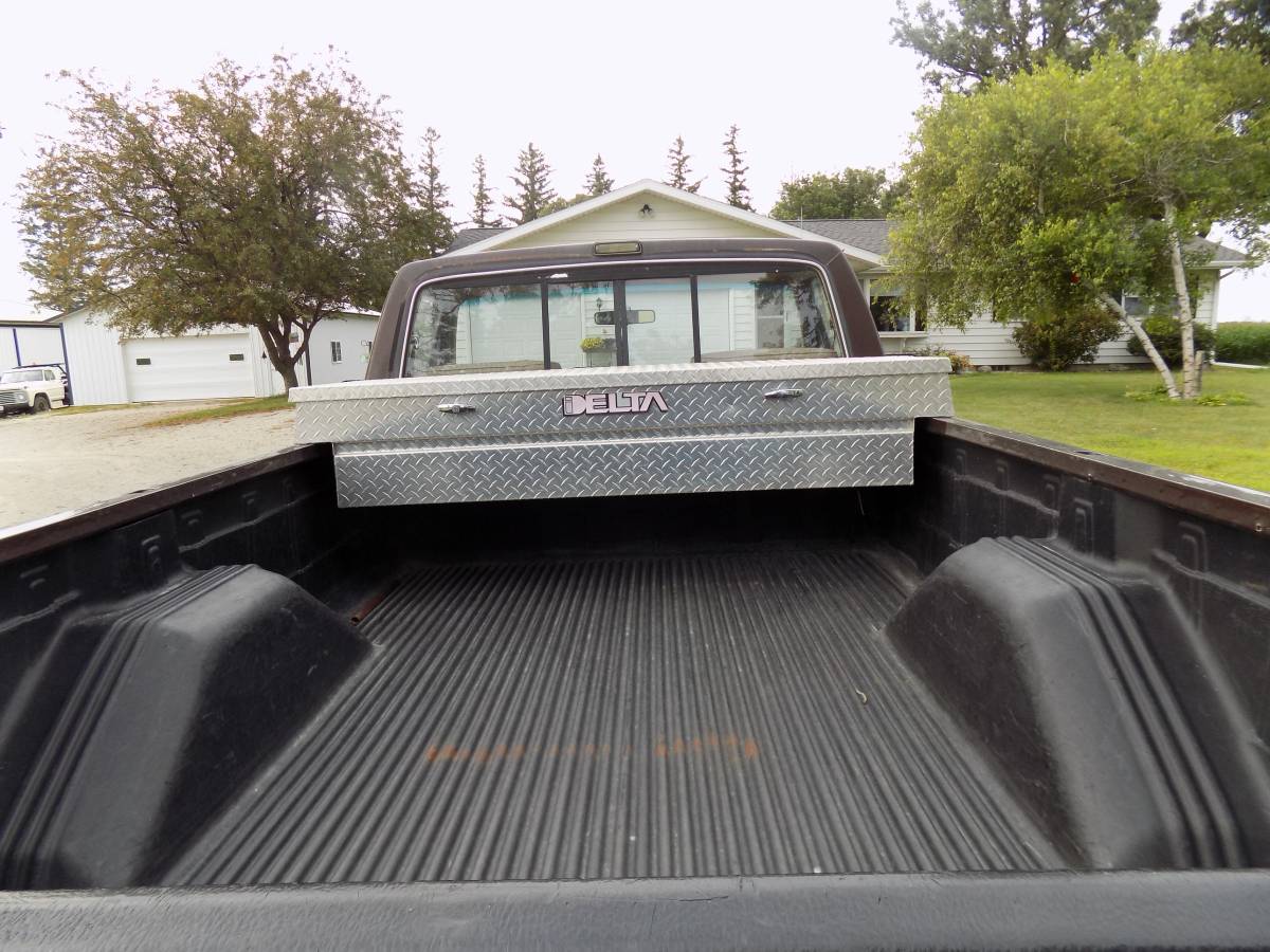 Ford-f-150-1989-brown-5
