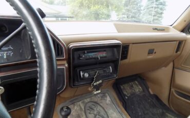 Ford-f-150-1989-brown-7