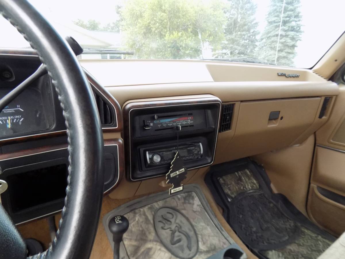 Ford-f-150-1989-brown-7