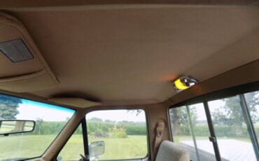 Ford-f-150-1989-brown-9