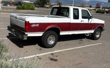 Ford-f-150-1993-white-3