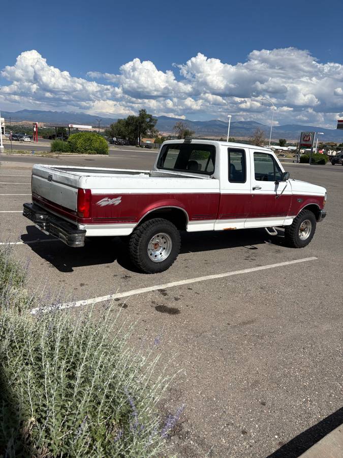 Ford-f-150-1993-white-3