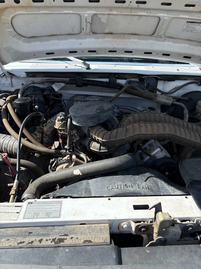 Ford-f-150-1993-white-9