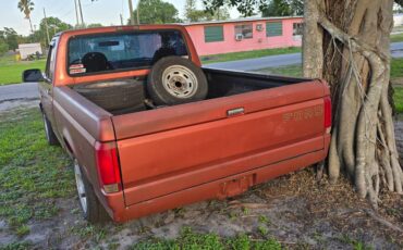 Ford-f-150-1995-grey-2