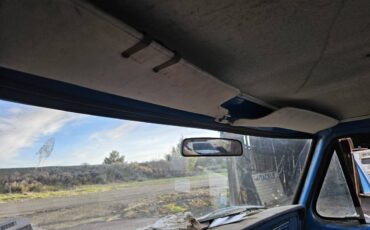 Ford-f-250-diesel-1978-blue-11