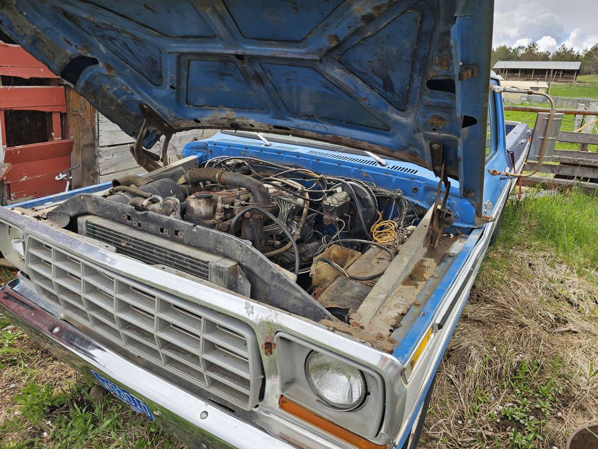 Ford-f-250-diesel-1978-blue-16