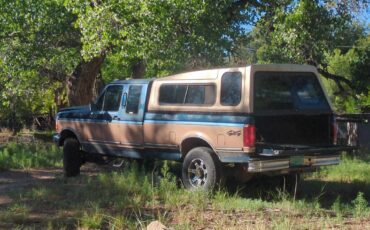 Ford-f-250-diesel-1994-blue-4