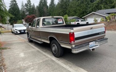 Ford-f-250-supercab-1992-brown-6