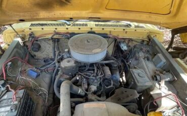 Ford-f100-custom-1974-yellow-2