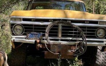 Ford-f100-custom-1974-yellow-3