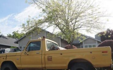 Ford-f100-custom-1974-yellow-6