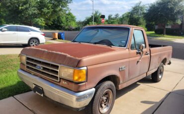 Ford-f150-1989-brown-1