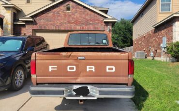 Ford-f150-1989-brown-3