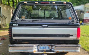 Ford-f150-4x4-1995-blue-11