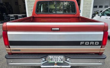 Ford-f150-super-cab-1994-brown-2