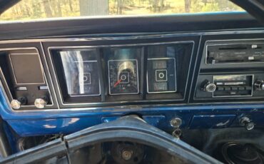 Ford-f250-1977-blue-9