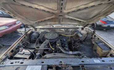 Ford-f250-super-duty-1986-brown-6