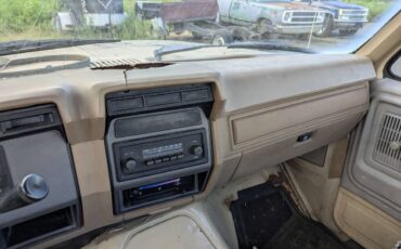 Ford-f250-super-duty-1986-brown-9