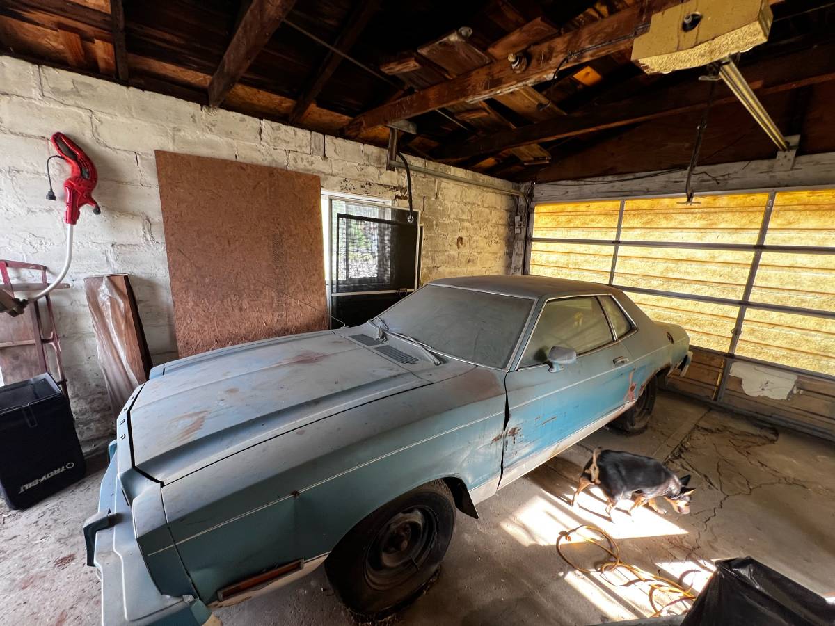 Ford-mustang-1978-blue-2
