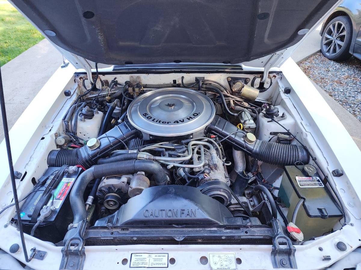 Ford-mustang-glx-1984-white-6