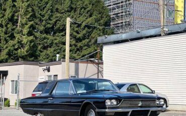 Ford-thunderbird-old-1966-black-12
