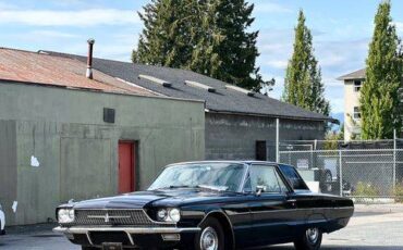 Ford-thunderbird-old-1966-black-19