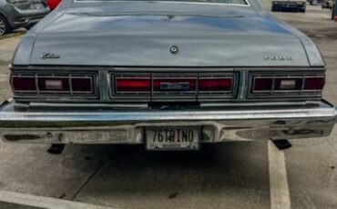 Ford-torino-1976-grey-8
