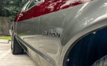 Ford-torino-1976-grey-9