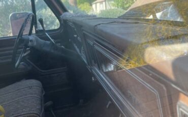 Ford-xlt-ranger-1978-brown-11