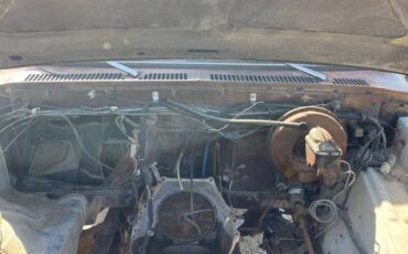 Ford-xlt-ranger-1978-brown-12