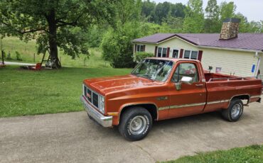 GMC-12-Ton-Pickup-1986-Cab-Chassis-10