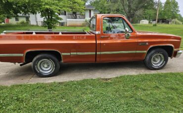 GMC-12-Ton-Pickup-1986-Cab-Chassis-11